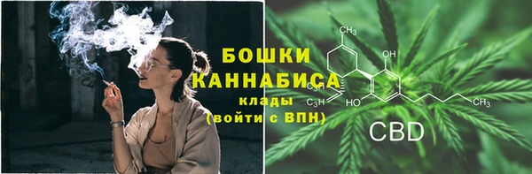 трава Бронницы