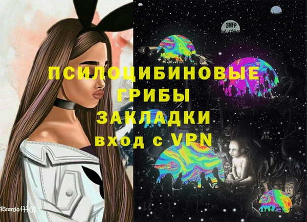 трава Бронницы