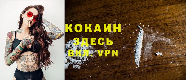 индика Белоозёрский
