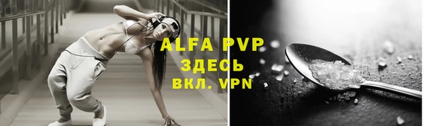 индика Белоозёрский