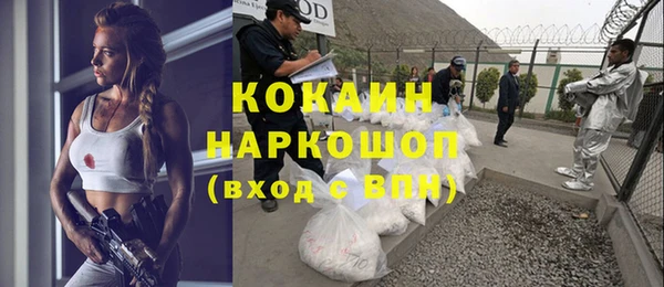 индика Белоозёрский